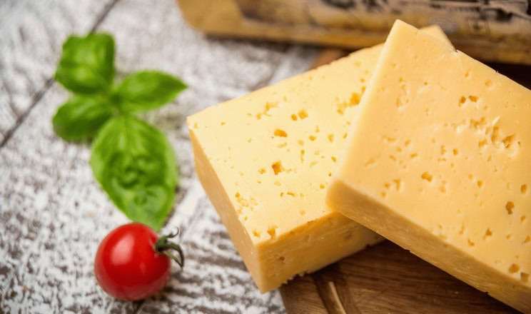 Твердий сир користь і шкода – як знайти золоту середину в раціоні
