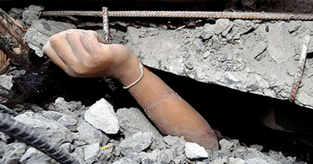 Де живуть бджоли – природні домівки та штучні вулики