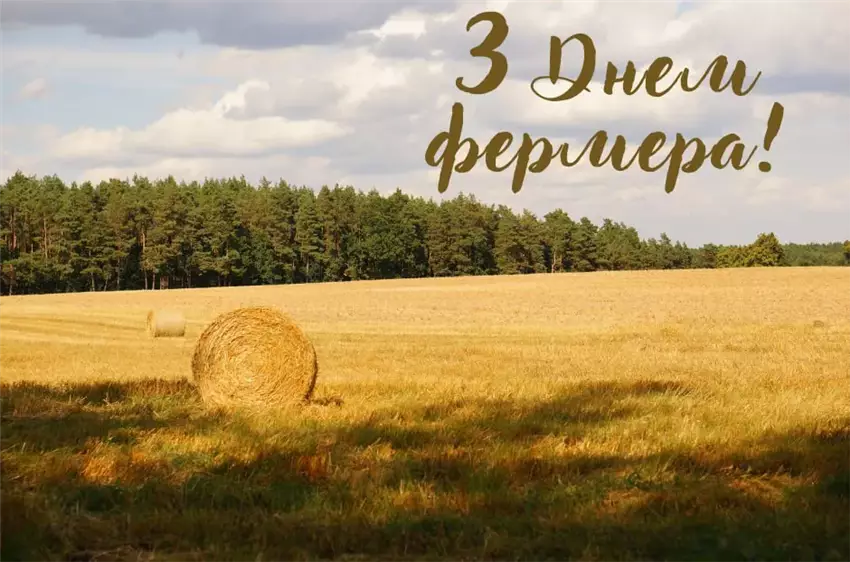 День фермера в Україні - свято тих, хто працює на землі